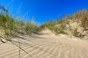 Avon beach access sand dune with sea oats.